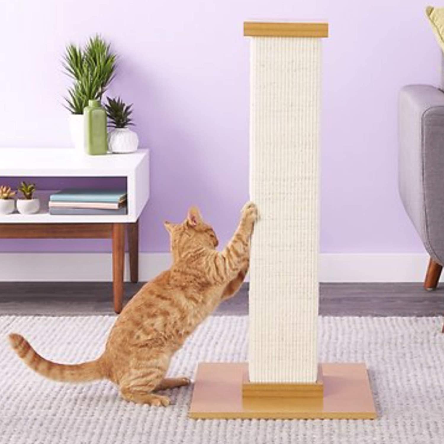 Scratching Posts