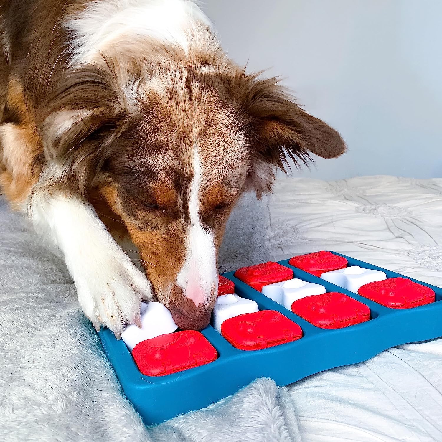 Chew Toys