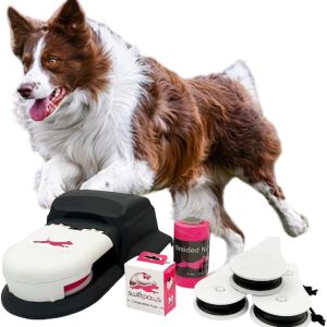 SwiftPaws - Home Original - Chase Toy - for Dogs