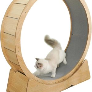 Cat Treadmill, Exercise Wheel