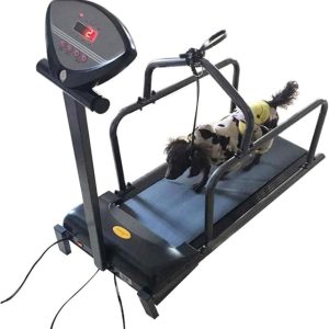 Dog Treadmill